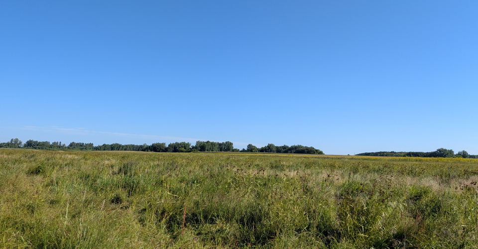 Image_960x500